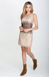 Sequins & Champagne Dress