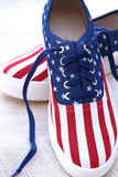 American Flag Print Canvas Lace-Up Sneaker