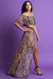 Leopard Print Mesh Two Piece Dress