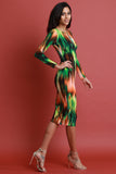 Abstract Print Long Sleeve Bodycon Midi Dress